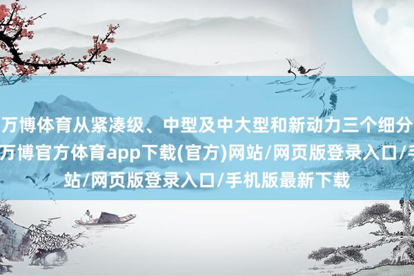 万博体育从紧凑级、中型及中大型和新动力三个细分领域进行排名-万博官方体育app下载(官方)网站/网页版登录入口/手机版最新下载