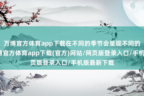 万博官方体育app下载在不同的季节会呈现不同的好意思-万博官方体育app下载(官方)网站/网页版登录入口/手机版最新下载