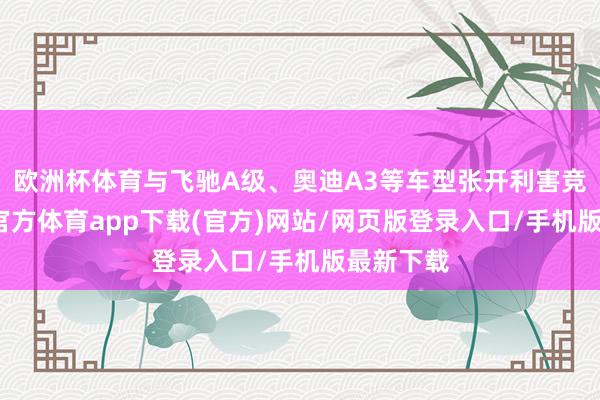 欧洲杯体育与飞驰A级、奥迪A3等车型张开利害竞争-万博官方体育app下载(官方)网站/网页版登录入口/手机版最新下载