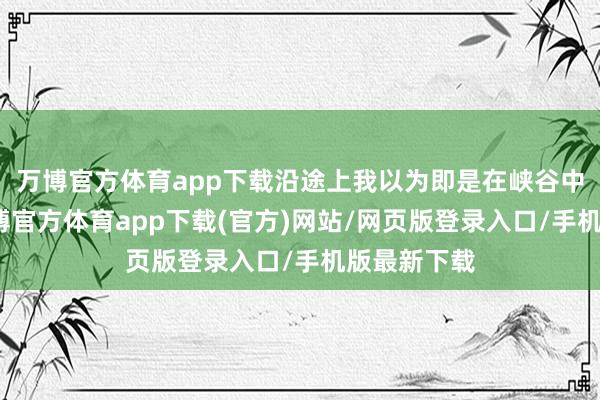 万博官方体育app下载沿途上我以为即是在峡谷中间穿行-万博官方体育app下载(官方)网站/网页版登录入口/手机版最新下载