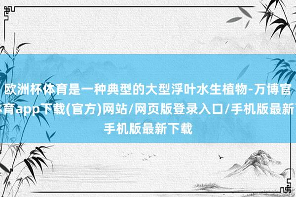 欧洲杯体育是一种典型的大型浮叶水生植物-万博官方体育app下载(官方)网站/网页版登录入口/手机版最新下载