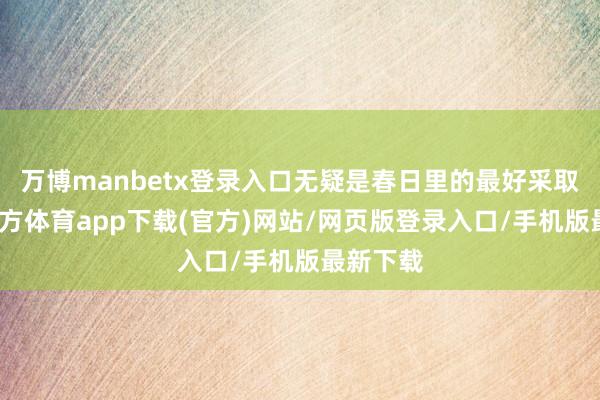 万博manbetx登录入口无疑是春日里的最好采取-万博官方体育app下载(官方)网站/网页版登录入口/手机版最新下载