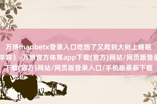 万博manbetx登录入口吃饱了又爬到大树上睡眠了[大笑]（碧峰峡集体丰容）-万博官方体育app下载(官方)网站/网页版登录入口/手机版最新下载