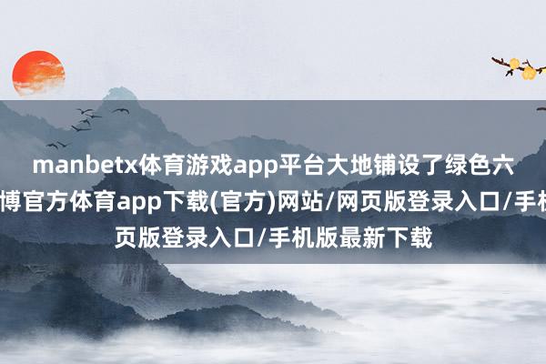 manbetx体育游戏app平台大地铺设了绿色六角形瓷砖-万博官方体育app下载(官方)网站/网页版登录入口/手机版最新下载